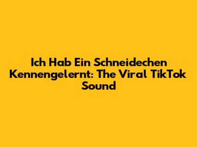 Ich Hab Ein Schneidechen Kennengelernt: The Viral TikTok Sound