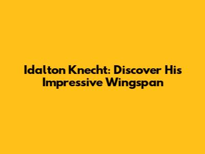 Idalton Knecht: Discover His Impressive Wingspan