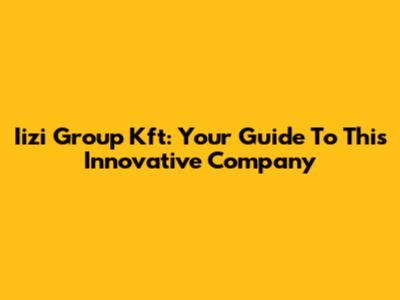 Iizi Group Kft: Your Guide To This Innovative Company