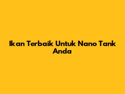 Ikan Terbaik Untuk Nano Tank Anda