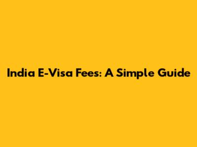 India E-Visa Fees: A Simple Guide