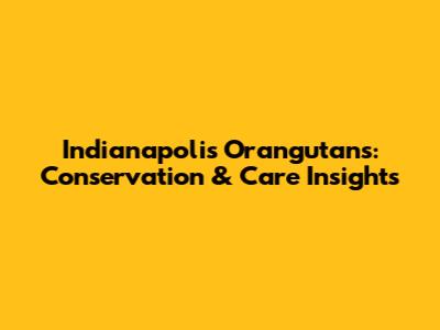 Indianapolis Orangutans: Conservation & Care Insights