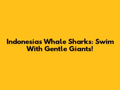 Indonesia's Whale Sharks: Swim With Gentle Giants!