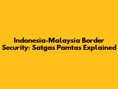 Indonesia-Malaysia Border Security: Satgas Pamtas Explained
