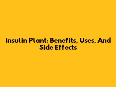 Insulin Plant: Benefits, Uses, And Side Effects
