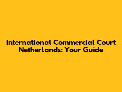 International Commercial Court Netherlands: Your Guide