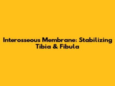 Interosseous Membrane: Stabilizing Tibia & Fibula