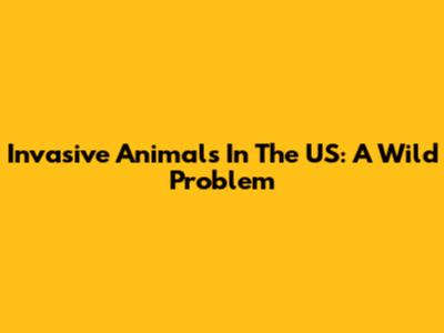 Invasive Animals In The US: A Wild Problem