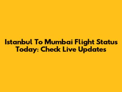 Istanbul To Mumbai Flight Status Today: Check Live Updates