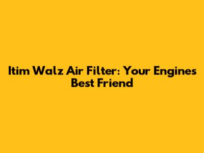 Itim Walz Air Filter: Your Engine's Best Friend