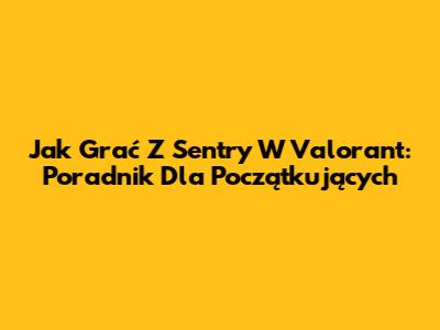 Jak Grać Z Sentry W Valorant: Poradnik Dla Początkujących