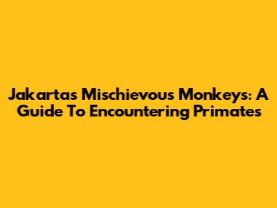 Jakarta's Mischievous Monkeys: A Guide To Encountering Primates