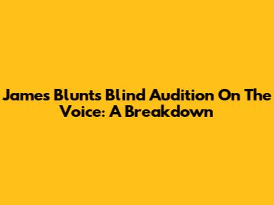 James Blunt's Blind Audition On The Voice: A Breakdown