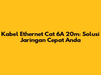 Kabel Ethernet Cat 6A 20m: Solusi Jaringan Cepat Anda