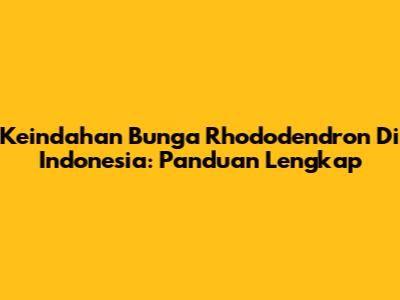 Keindahan Bunga Rhododendron Di Indonesia: Panduan Lengkap