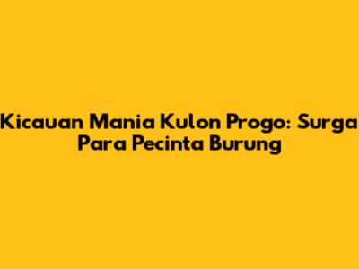 Kicauan Mania Kulon Progo: Surga Para Pecinta Burung