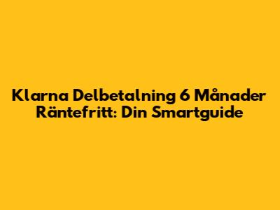 Klarna Delbetalning 6 Månader Räntefritt: Din Smartguide