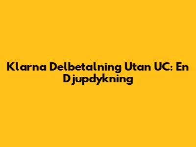 Klarna Delbetalning Utan UC: En Djupdykning