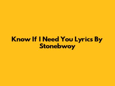 Know If I Need You Lyrics By Stonebwoy