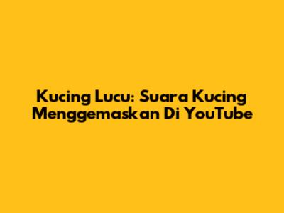 Kucing Lucu: Suara Kucing Menggemaskan Di YouTube
