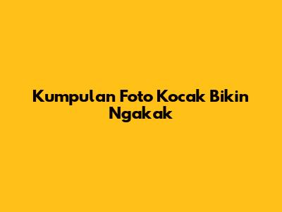 Kumpulan Foto Kocak Bikin Ngakak
