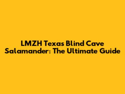 LMZH Texas Blind Cave Salamander: The Ultimate Guide