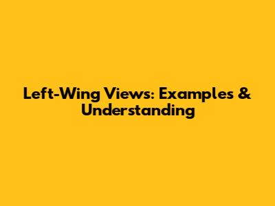 Left-Wing Views: Examples & Understanding
