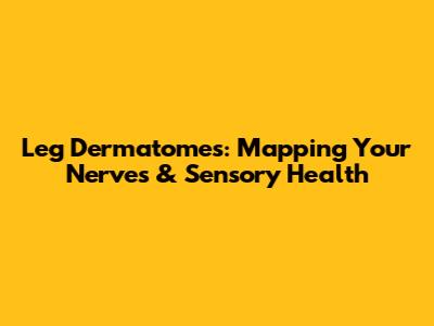 Leg Dermatomes: Mapping Your Nerves & Sensory Health