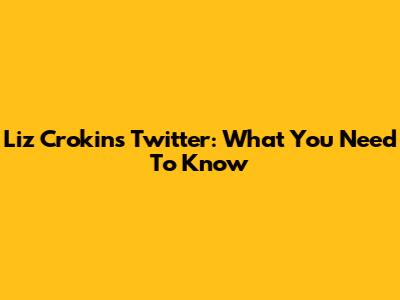 Liz Crokin's Twitter: What You Need To Know