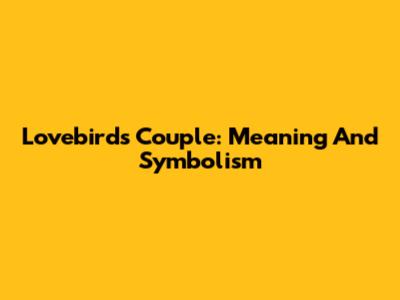 Lovebirds Couple: Meaning And Symbolism