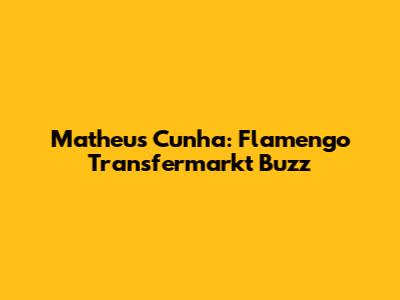 Matheus Cunha: Flamengo Transfermarkt Buzz