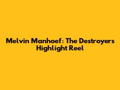Melvin Manhoef: The Destroyer's Highlight Reel