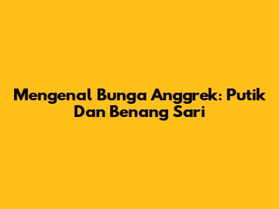 Mengenal Bunga Anggrek: Putik Dan Benang Sari