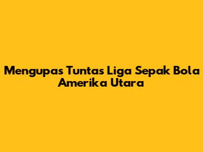 Mengupas Tuntas Liga Sepak Bola Amerika Utara