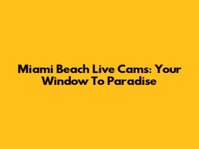 Miami Beach Live Cams: Your Window To Paradise