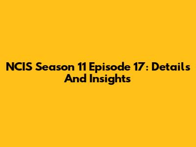 NCIS Season 11 Episode 17: Details And Insights