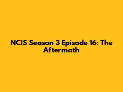 NCIS Season 3 Episode 16: The Aftermath