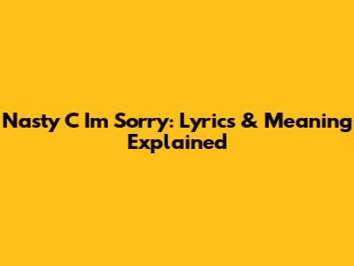 Nasty C "I'm Sorry": Lyrics & Meaning Explained