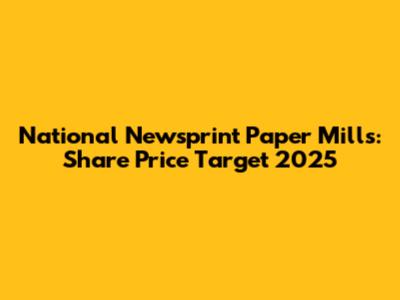 National Newsprint Paper Mills: Share Price Target 2025