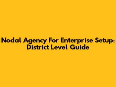 Nodal Agency For Enterprise Setup: District Level Guide