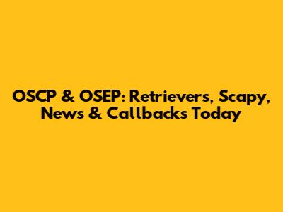 OSCP & OSEP: Retrievers, Scapy, News & Callbacks Today