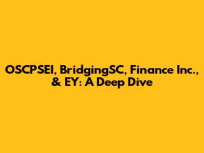 OSCPSEI, BridgingSC, Finance Inc., & EY: A Deep Dive