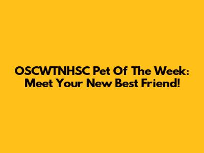 OSCWTNHSC Pet Of The Week: Meet Your New Best Friend!