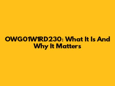 OWG01W1RD230: What It Is And Why It Matters