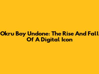 Okru Boy Undone: The Rise And Fall Of A Digital Icon