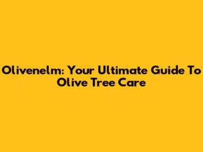 Olivenelm: Your Ultimate Guide To Olive Tree Care