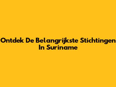 Ontdek De Belangrijkste Stichtingen In Suriname