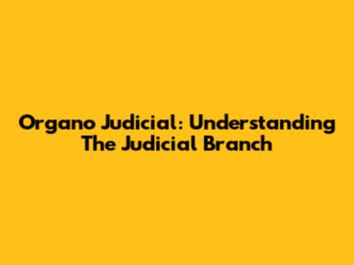 Organo Judicial: Understanding The Judicial Branch