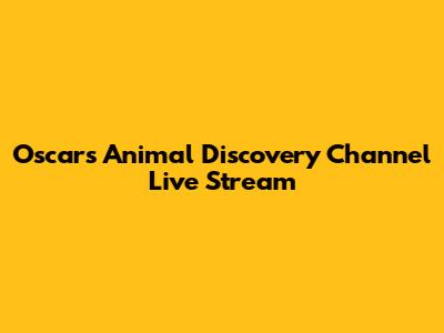 Oscars Animal Discovery Channel Live Stream