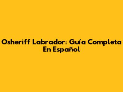 Osheriff Labrador: Guía Completa En Español